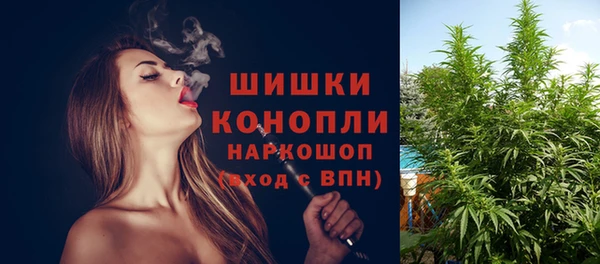 твердый Аркадак