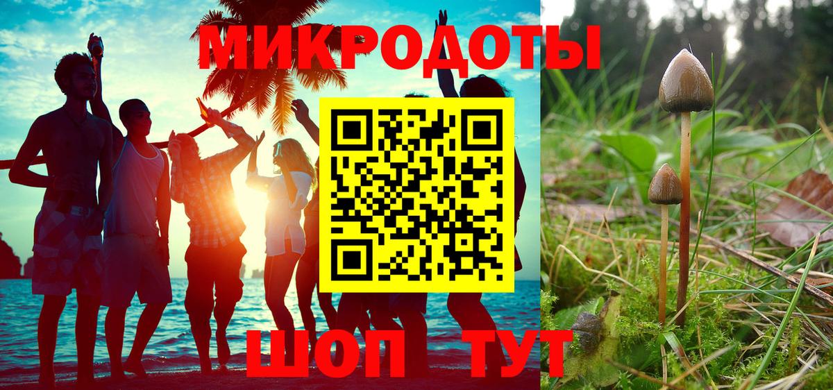 Псилоцибиновые грибы прущие грибы Обнинск