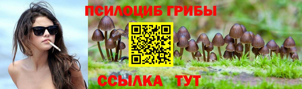Обнинск  Галлюциногенные грибы Psilocybine cubensis  Псилоцибиновые грибы MAGIC MUSHROOMS  Вход с VPN 